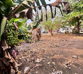 Terreno en venta en cañadas de buena vista Escuintla