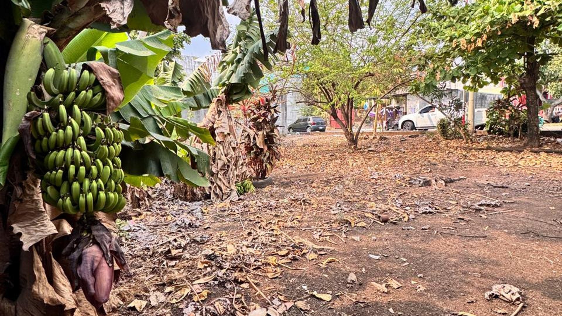 Terreno en venta en cañadas de buena vista Escuintla