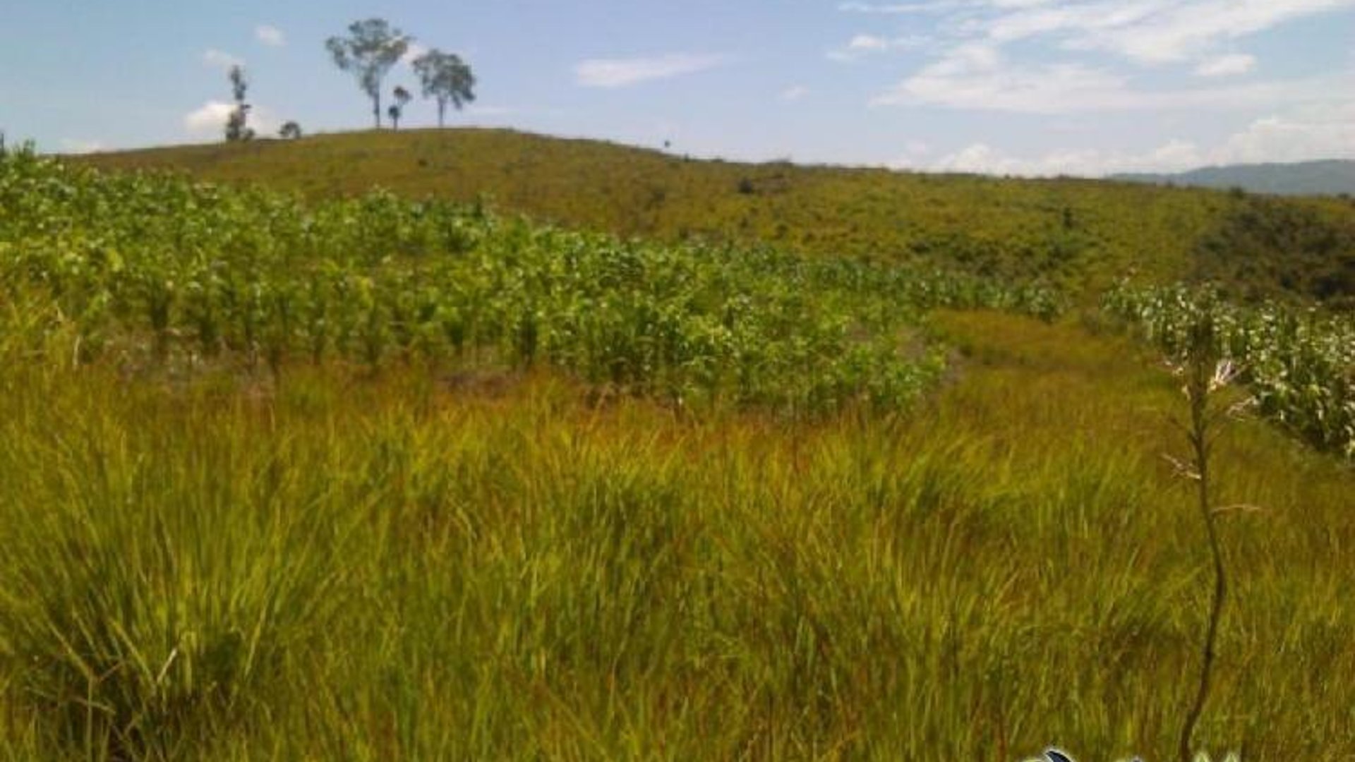 Vendo terreno en San Pedro Sacatepéquez
