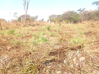 2TERRENOS EN VENTAQuintas La Ponderosa, km77Autopista a Puerto Quetzal - 4
