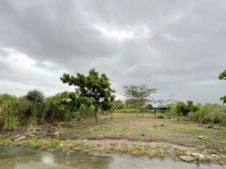 Terrenos en venta en Condominio Quintas La Ponderosa - 3
