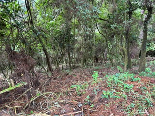 VENTA TERRENOS EN EL ENCINAL, MIXCO - 5