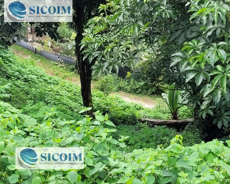 Terreno Extenso a la Venta en Santa Rosalia La Laguna
