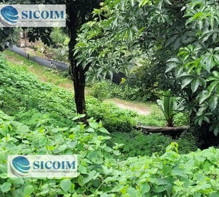 Terreno Extenso a la Venta en Santa Rosalia La Laguna