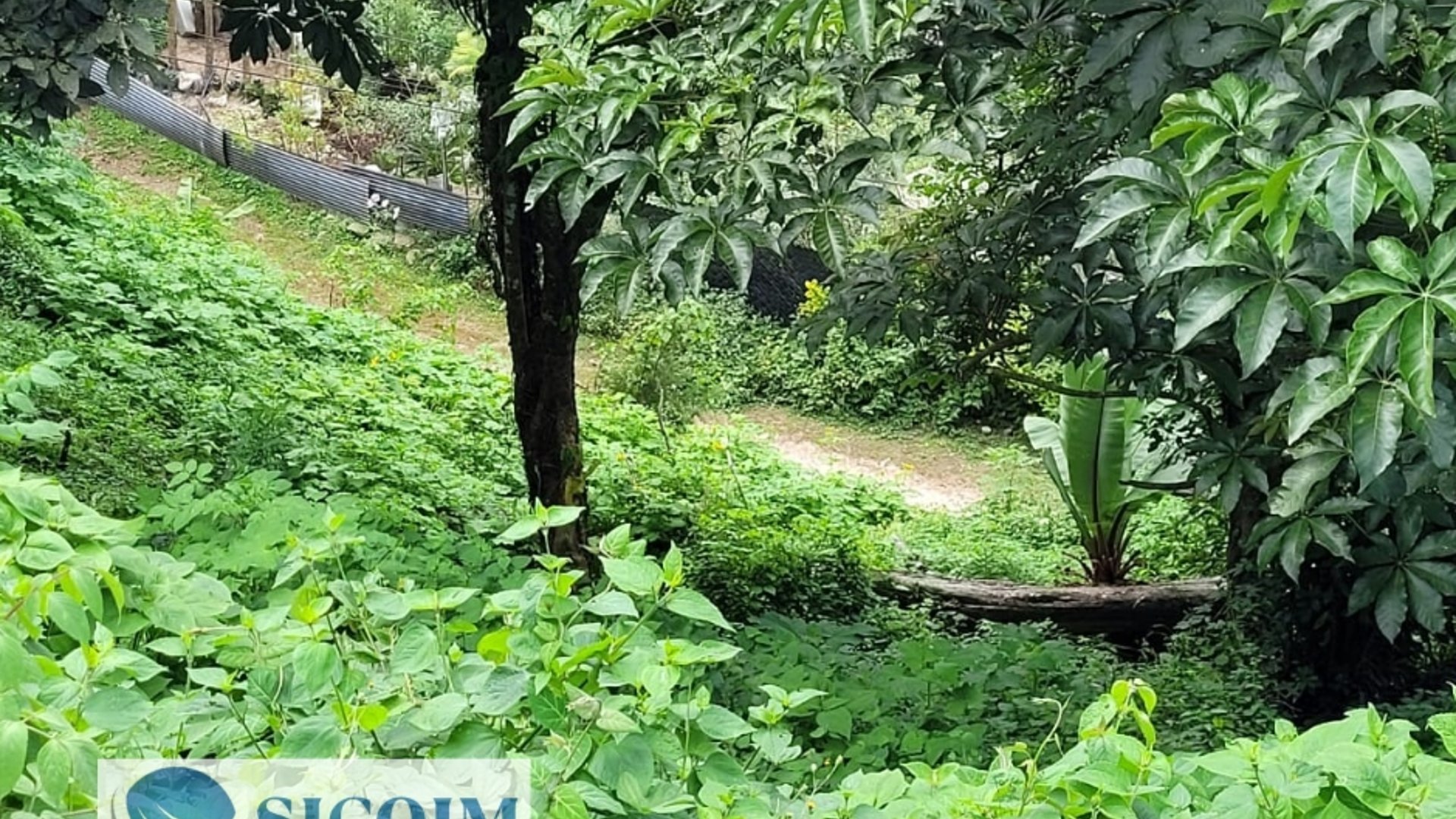 Terreno Extenso a la Venta en Santa Rosalia La Laguna