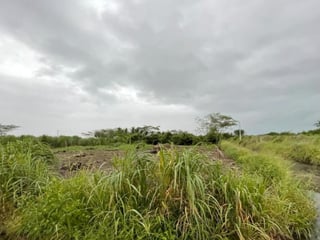 Terrenos en venta en Condominio Quintas La Ponderosa - 5