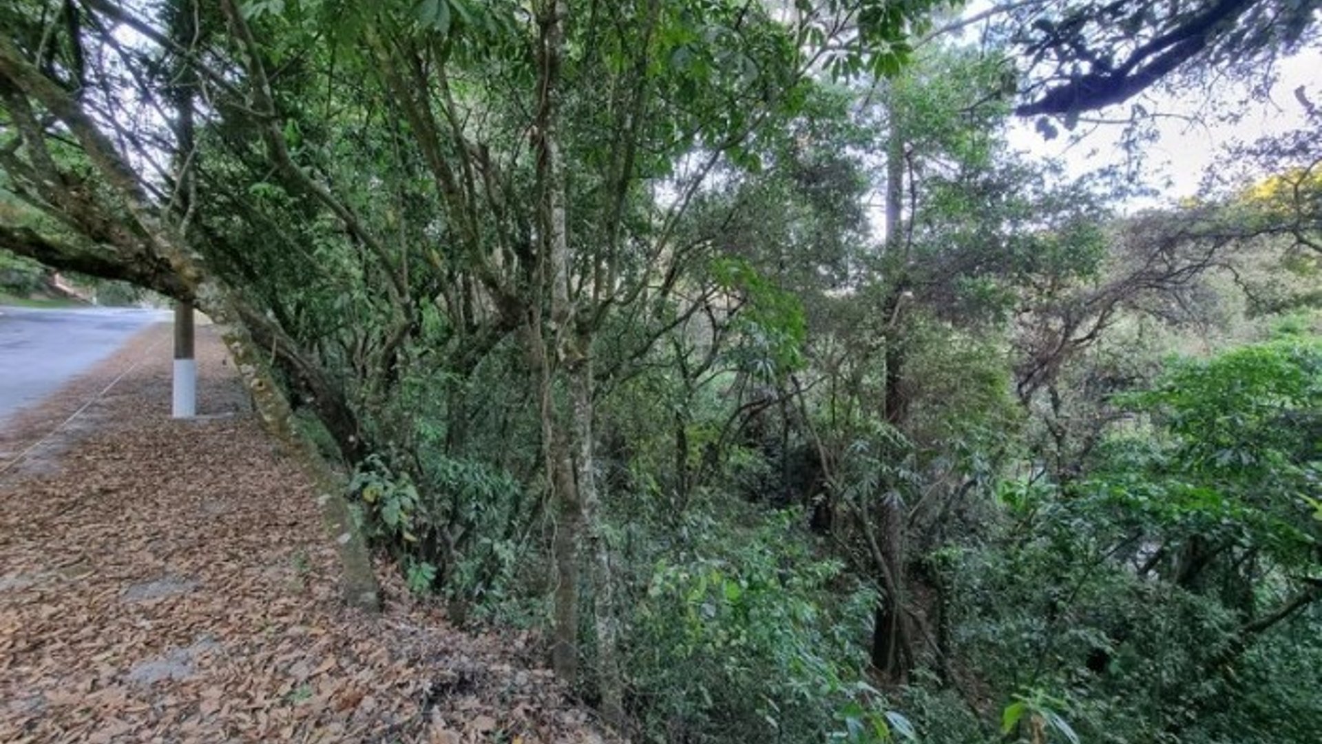 Terreno en Venta en El Encinal, Zona 7 de Mixco - Miniatura 17