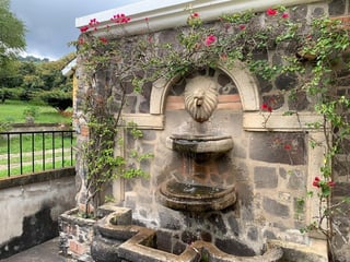 Granja en venta / Santa Lucía Milpas altas - Image 7