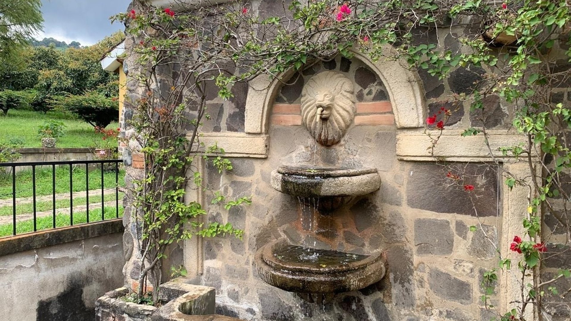 Granja en venta / Santa Lucía Milpas altas - Miniatura 7