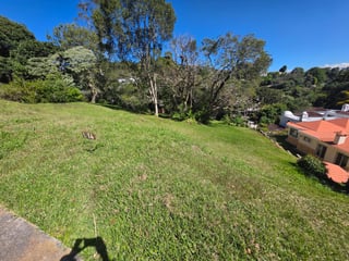 Terreno en venta en KM 20 CAES San German del Bosque Ref-5402 - 2