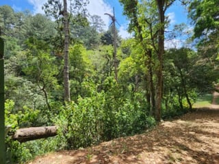 Terreno en Venta Santiago Sacatepéquez, Jardin El Alto - 2
