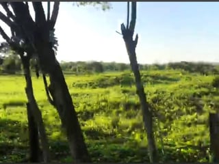 Terreno en Venta en La Libertad, Peten - Image 2