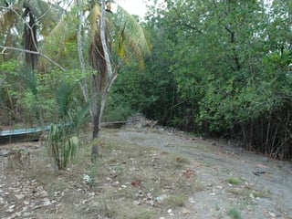 Land for Sale in Tulate, Guatemala - 7185 m² - $199,000 - Image 16