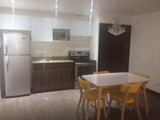 Apartamento tipo estudio amueblado en alquiler, Rivoli zona 15 - 2