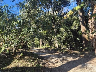 Terreno en Venta Carretera a Colmenas Guatemala - Image 13