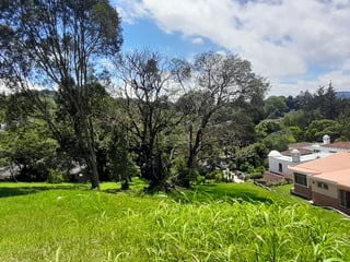 Vendo Terreno En San Germán Del Bosque Fraijanes KM 20.5 - Image 6