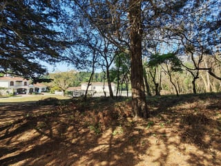Casa   Campo Terreno en Carretera El Salvador en Venta - 3