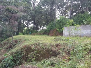 Terreno en venta en el Encinal Tronco 2 - 2