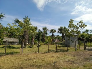 GANGA TERRENO EN VENTA – ALDEA EL CEBOLLITO, HAWÁI CHIQUIMULA - 3