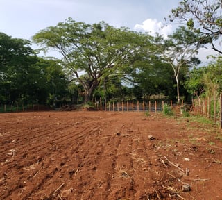 Terreno comercial en venta en Santa Rosa, Taxisco Ref-5528