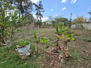 Lindo y Amplio Terreno En Venta - San Pedro Ayampuc - 3