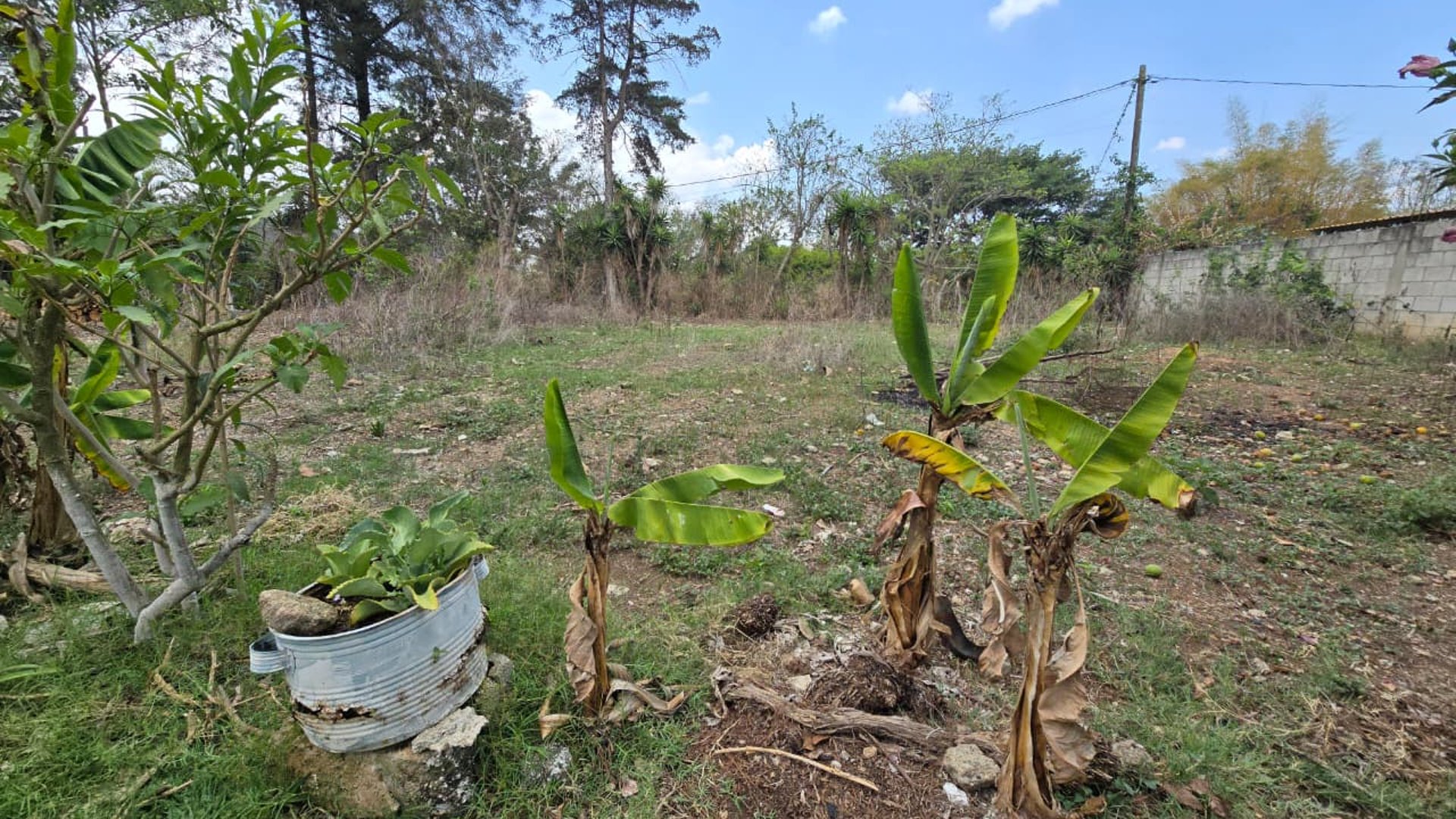 Lindo y Amplio Terreno En Venta - San Pedro Ayampuc - Miniatura 3