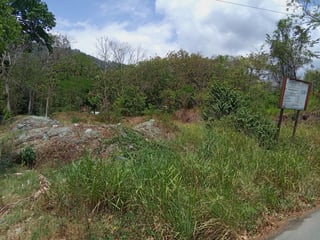 TEREENO EN VENTA EN DOÑA MARIA GUALÁN ZACAPA - 4