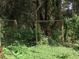 Excelente Terreno de mas de 1 manzana en Lomas de San Rafael | Km.15 CAES a la par de Vesuvio - 3