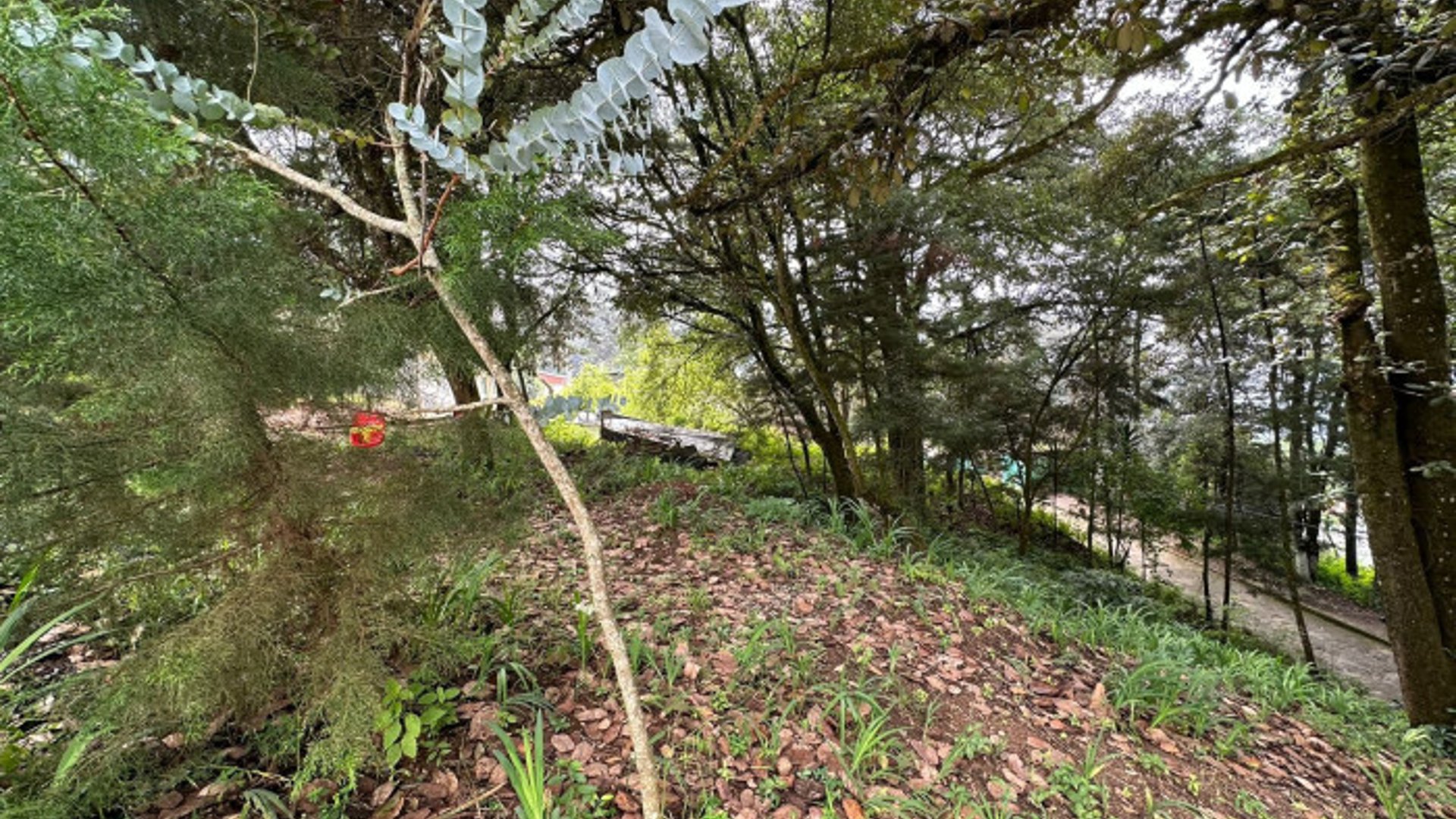 Terreno Residencial en Venta - Santa Lucia Milpas Altas - Miniatura 3