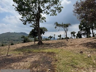 GRAN TERRENO EN VENTA – IDEAL PARA PROYECTO INMOBILIARIO/ BARBERENA - 5