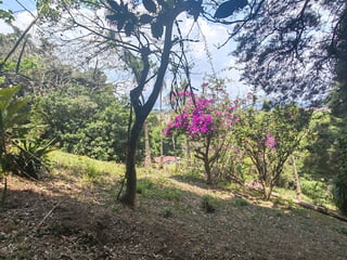 Terreno en venta Santa Elena Barillas Guatemala - Image 9