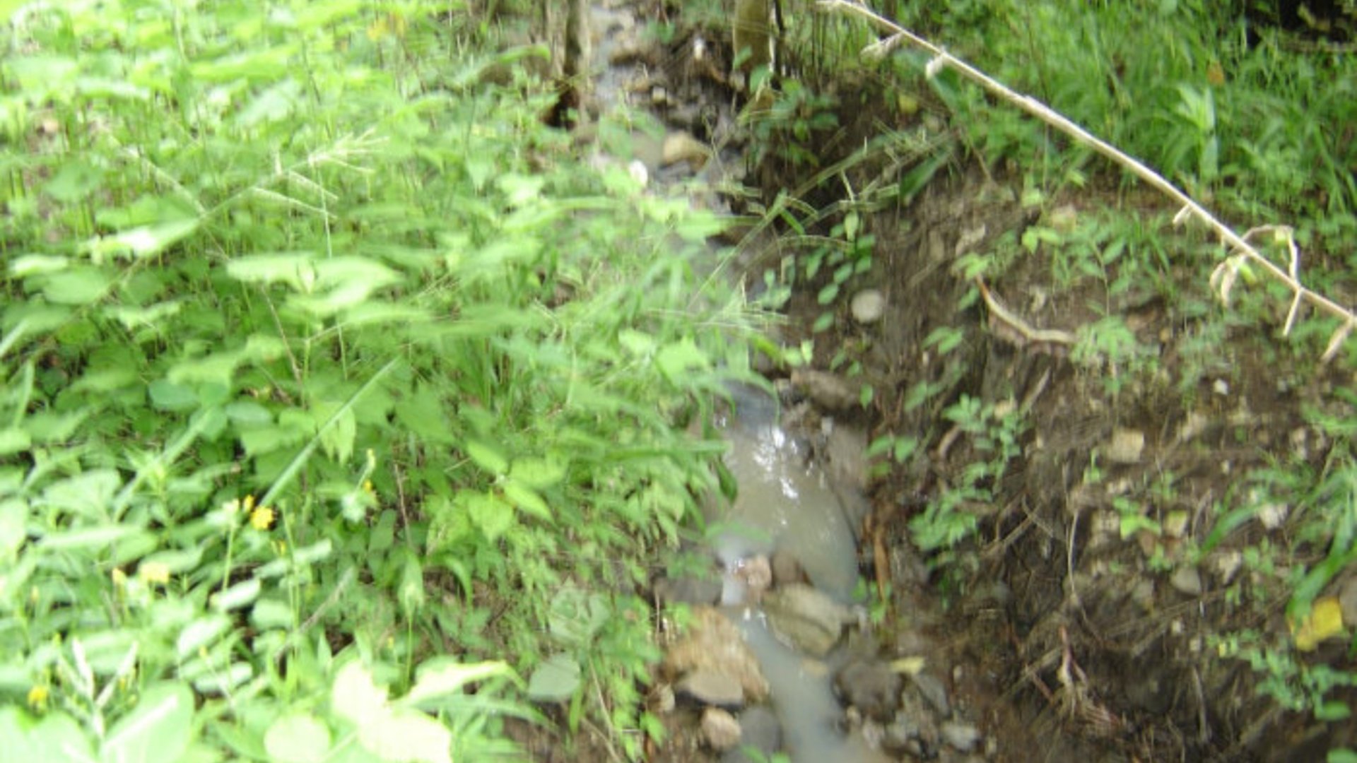 Terreno en Venta Aldea Agua Caliente El Progreso - Miniatura 8