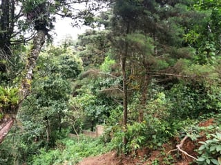 Terreno en venta en Piedra Parada, CES Guatemala - Image 7