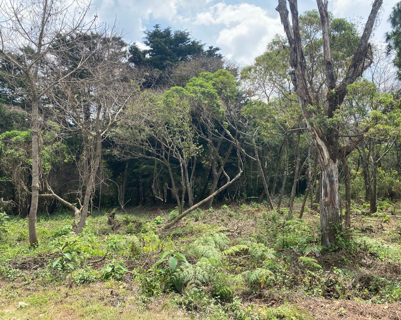 TERRENO EN VENTA EN CASA Y CAMPO, KM 23.5 CAES