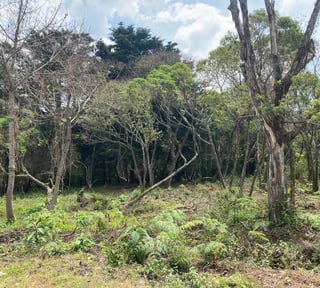 TERRENO EN VENTA EN CASA Y CAMPO, KM 23.5 CAES
