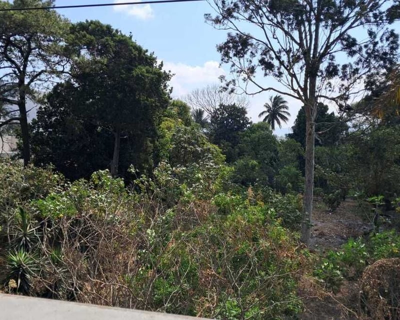 Terreno en ALQUILER en Amatitlán