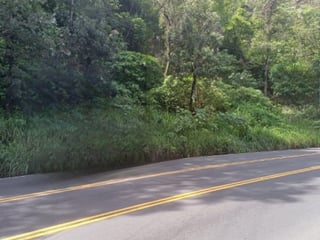 Terreno Comercial sobre Carretera Hacia Boca del Monte - Image 8