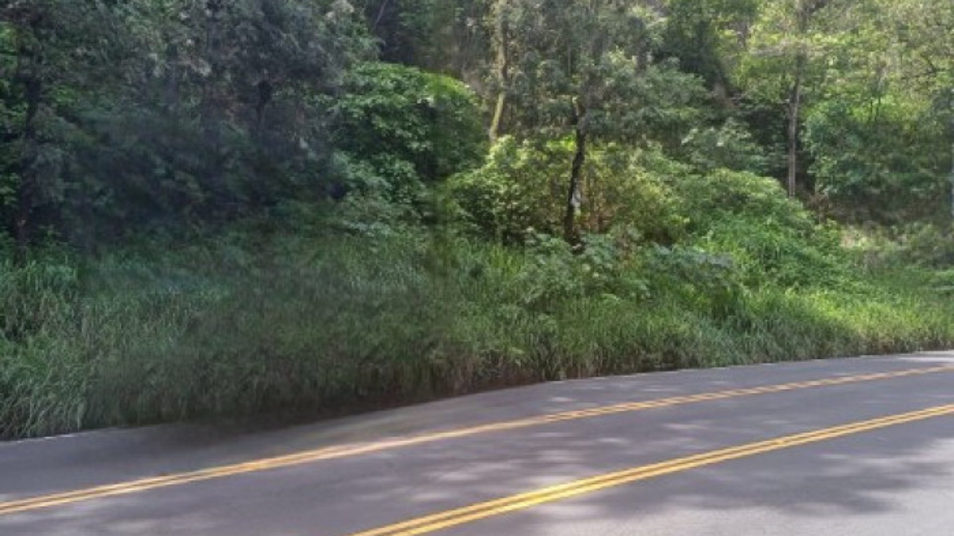 Terreno Comercial sobre Carretera Hacia Boca del Monte - Miniatura 8