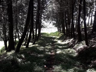 TERRENO EN VENTA  ORILLA CARRETERA A FRAIJANES - 4