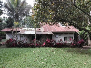 Finca en venta 8.5 manzanas Mazatenango Suchitepéquez - 3