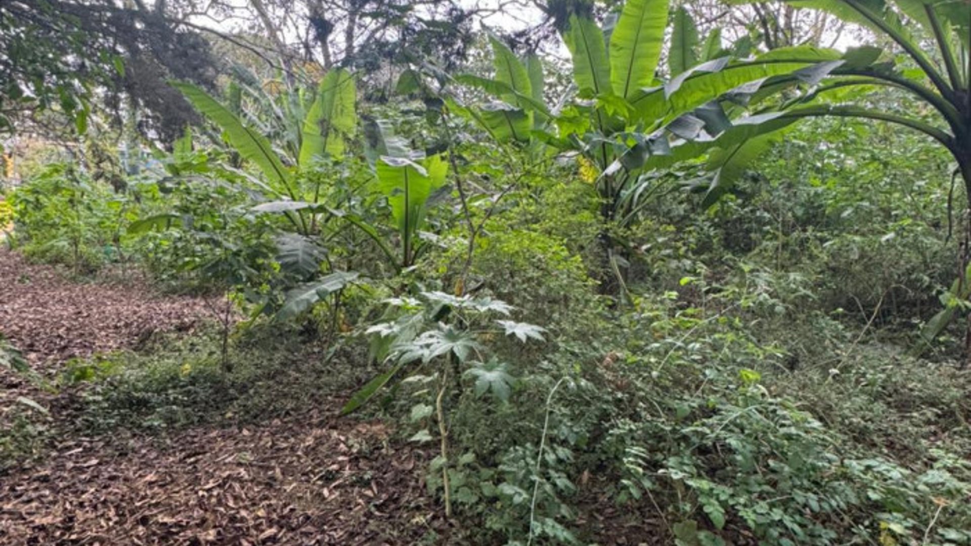 Terreno en Venta en Carretera San Lucas hacia Antigua - Miniatura 7