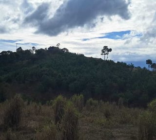 Finca en VENTA en San Pedro Ayampuc