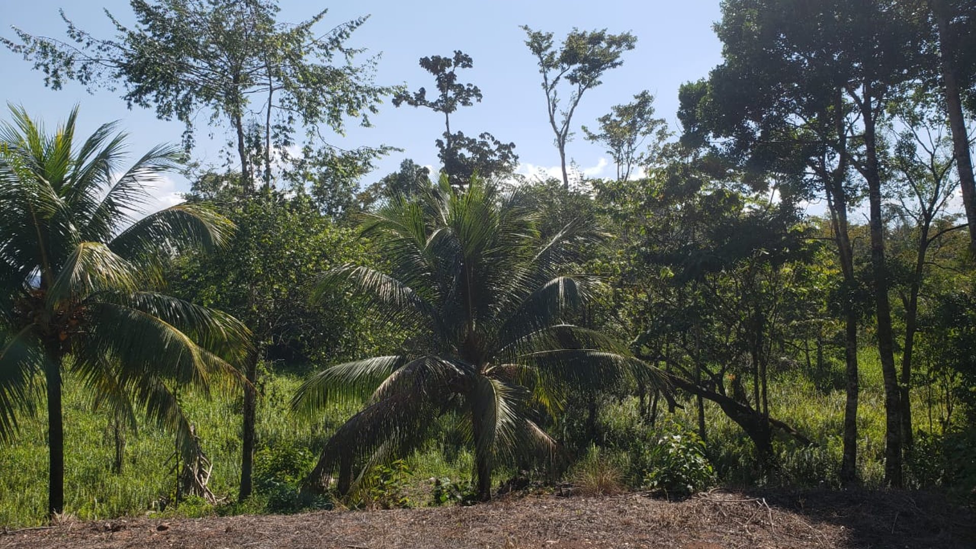 Propiedad en venta, Rio Dulce - Miniatura 11