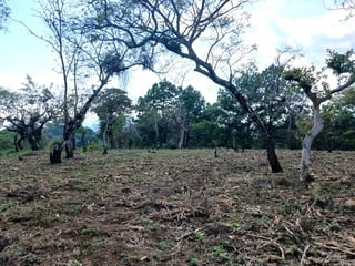 TERRENO EN VENTA EN FRAIJANES - 2