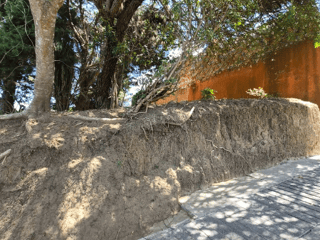 Oportunidad Única: Terreno en venta en Zona 16, Ciudad de Guatemala - Image 6