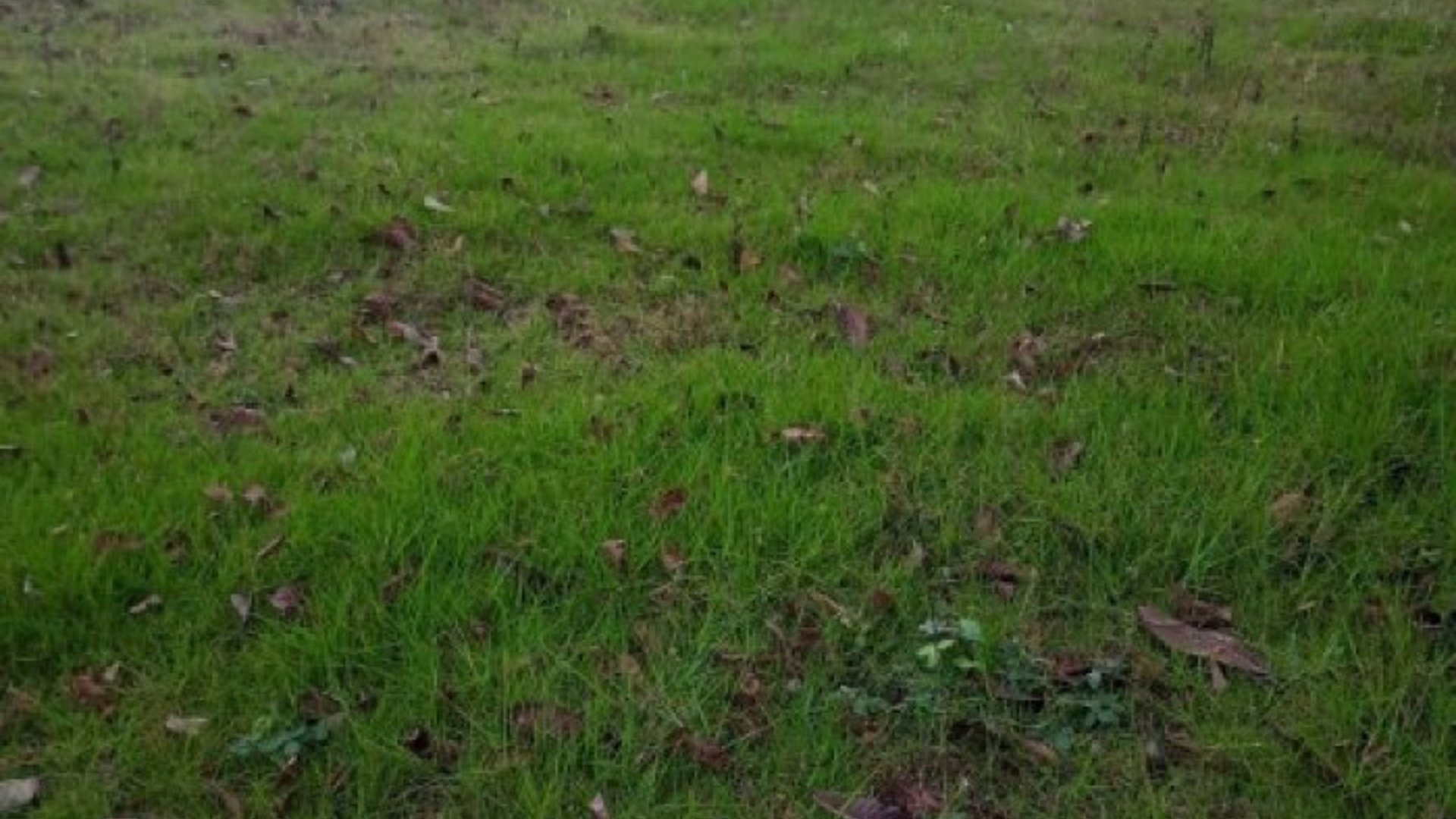 Terreno Comercial en Renta Quiché, Guatemala - Miniatura 6