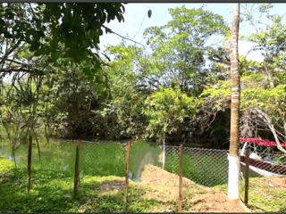 TERRENO EN VENTA EN RIO DULCE - 2