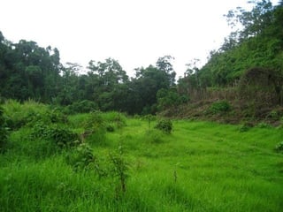 VENTA EXCELENTE FINCA  CARRETERA A SANTA ROSA - 5