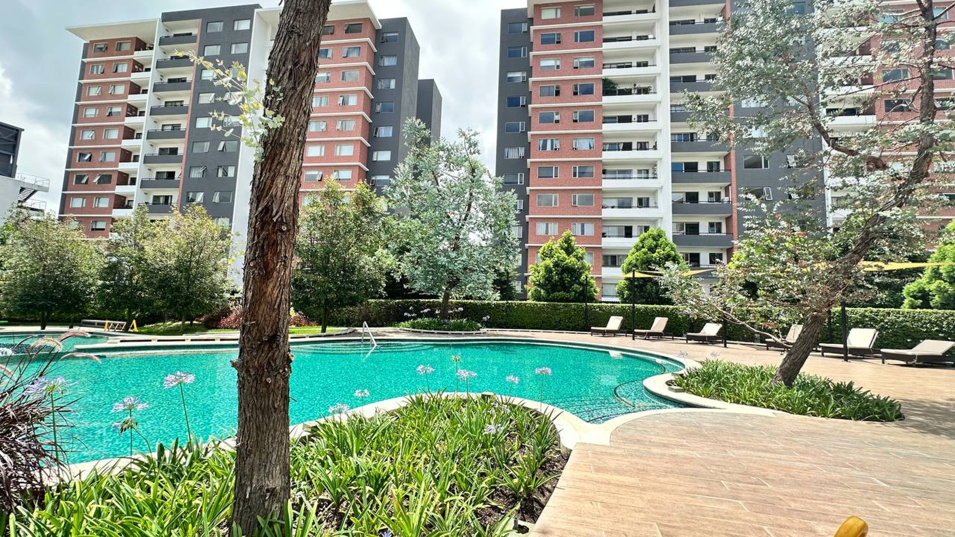 Apartamentos en renta en Edificio Segheria zona 14 - Miniatura 9