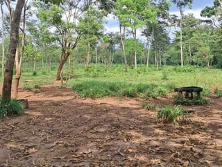 TERRENO EN VENTA – COATEPEQUE, A 200 METROS DEL KM 223 CA-2 - 3